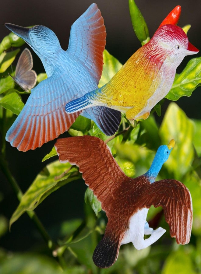 Mallexo Realistic PVC Bird Figures Toys | 3D Model Sparrow Animal Farm Figure Play Set | Miniature Bird Toys for Kids Cake Topper Party Favours | Birthday Return Gift Animals Set - Multicolor - Image 2